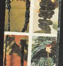 pic2